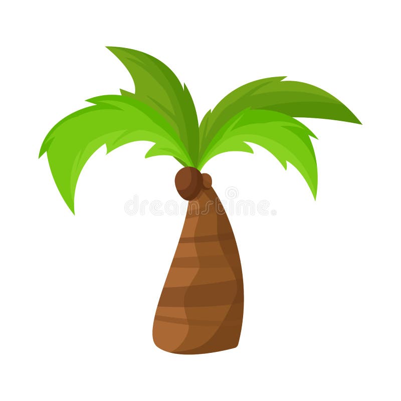 Palm Trunk Isolated on White. Part of Palmtree Cartoon Illustration. Stump  of Coco Palm Tree. Bole of Tropical Coconut Trees Stock Vector -  Illustration of stump, clipart: 192036265