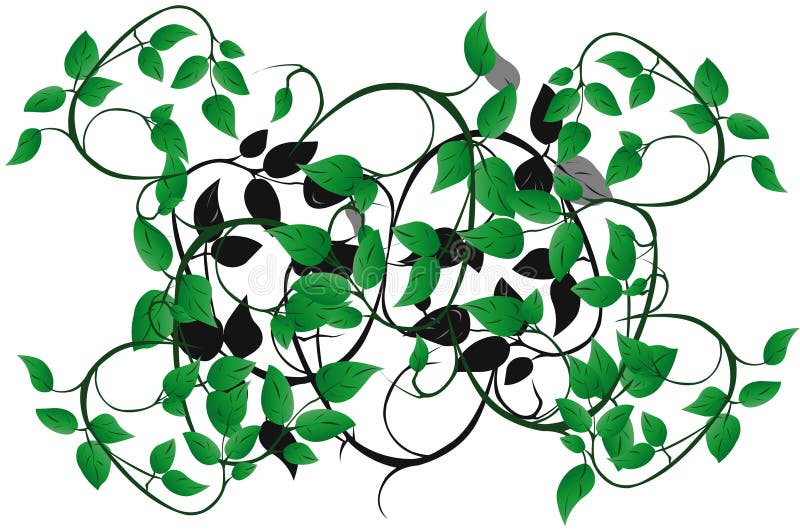 Vector illustration of pattern from leaves