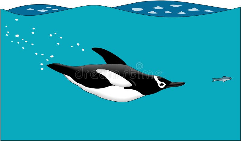 Penguin Swimming after Fish Illustration
