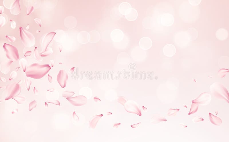Vector Illustration of Pink Floral Petals Floating Elegantly Against a Soft Pastel Background stock illustration