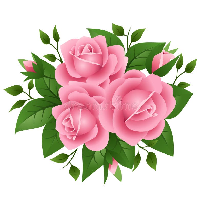 Ilustración vectorial de rosas rosadas Foto de archivo - Ilustración de pétalo, hoja: 25306956