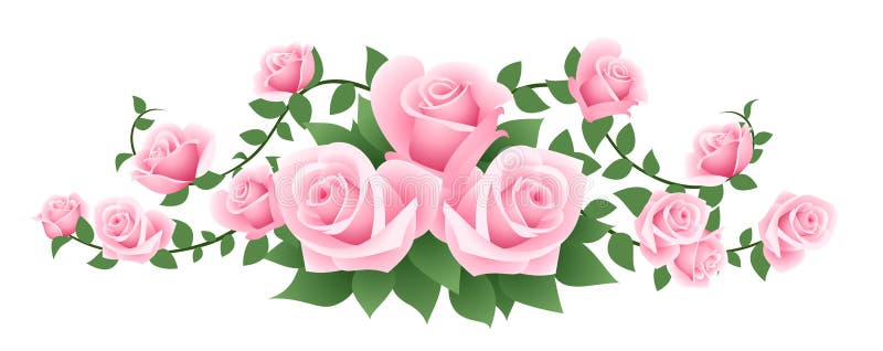 Vector Illustration of Pink Roses. Stock Vector - Illustration of leaves,  nature: 28038290