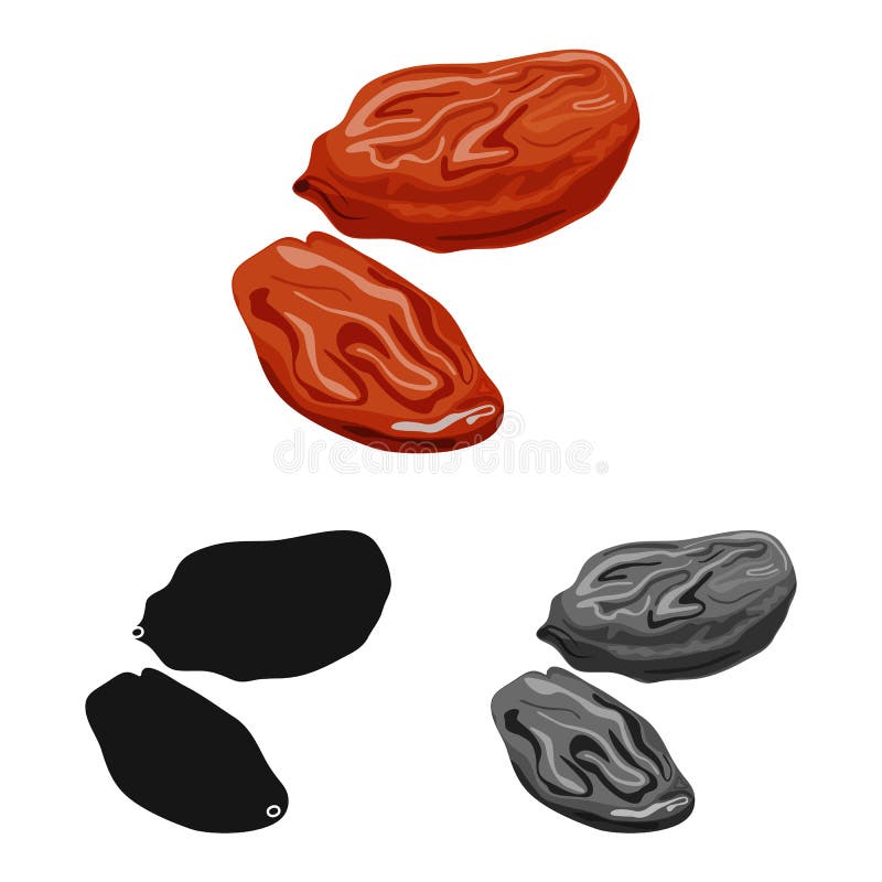Dry Fruit Stock Illustrations – 11,434 Dry Fruit Stock Illustrations, Vectors & Clipart - Dreamstime Dry Fruit Stock Illustrations – 11,434 Dry Fruit Stock Illustrations, Vectors & Clipart - Dreamstime