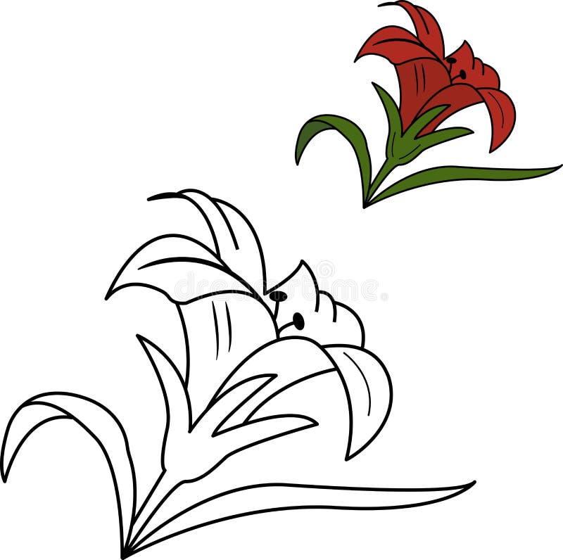 Coloring book for kids red flower vector illustration