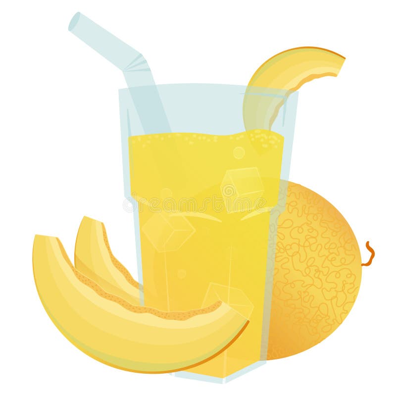 Vector illustration of a refreshing glass of melon juice with slices and a whole melon beside it. The glass contains ice vector illustration