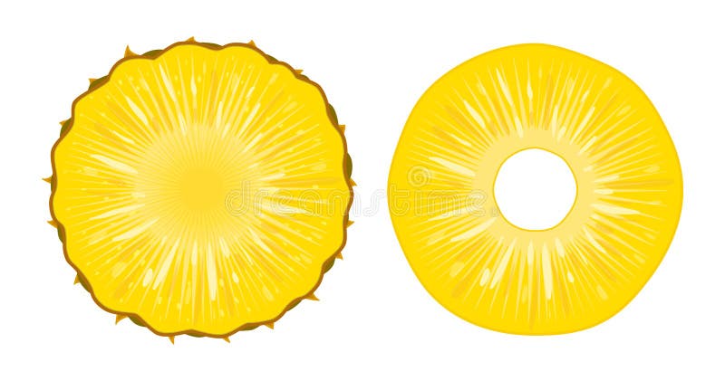Vector Illustration Of Ripe Juicy Pineapple Slices ...