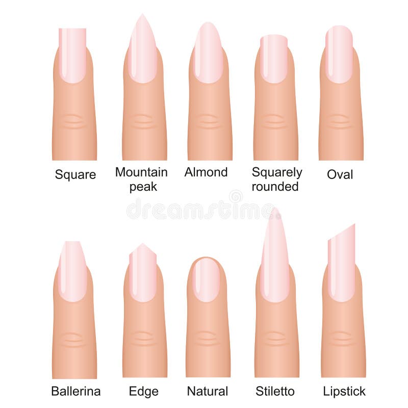 Vector Illustration Set of Different Nails Shape Tipes. Manicure Design on Fingers Isolated on