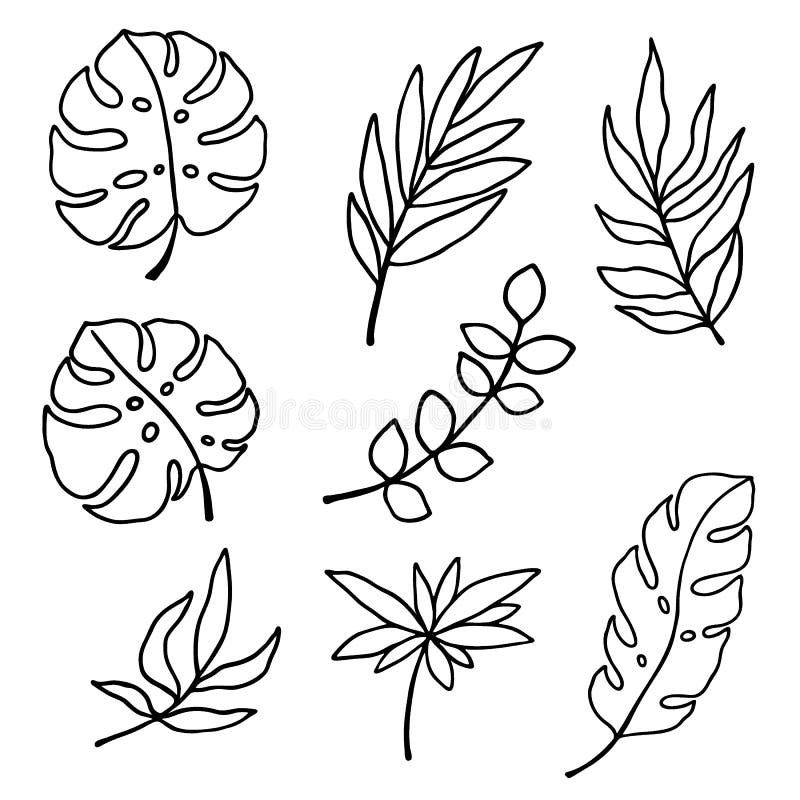 4018 Tropical Leaves, Vector Illustration, Set of Drawings of Tropical 4018 Tropical Leaves, Vector Illustration, Set of Drawings of Tropical