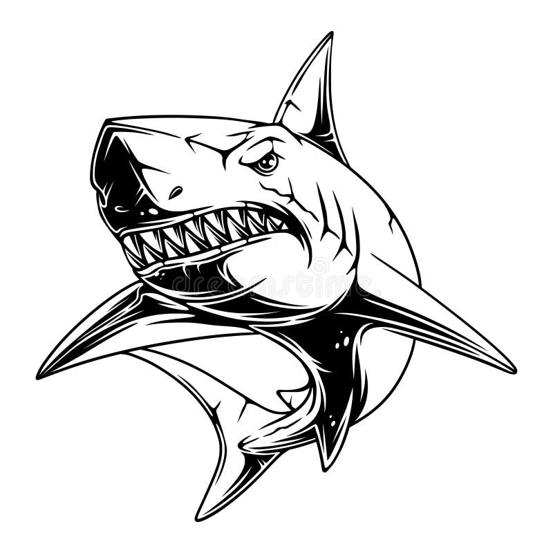 Vector illustration Shark with cool and spooky position with sharp teeth black and white