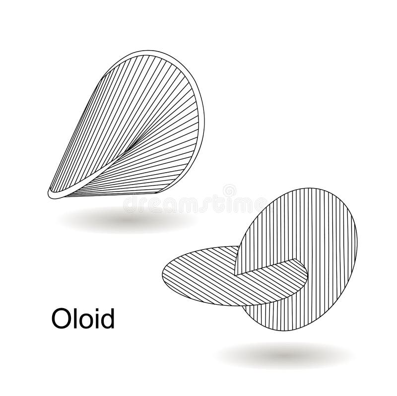 3d render of a three-dimensional curved geometric object oloid, black and  white, chrome Stock Photo