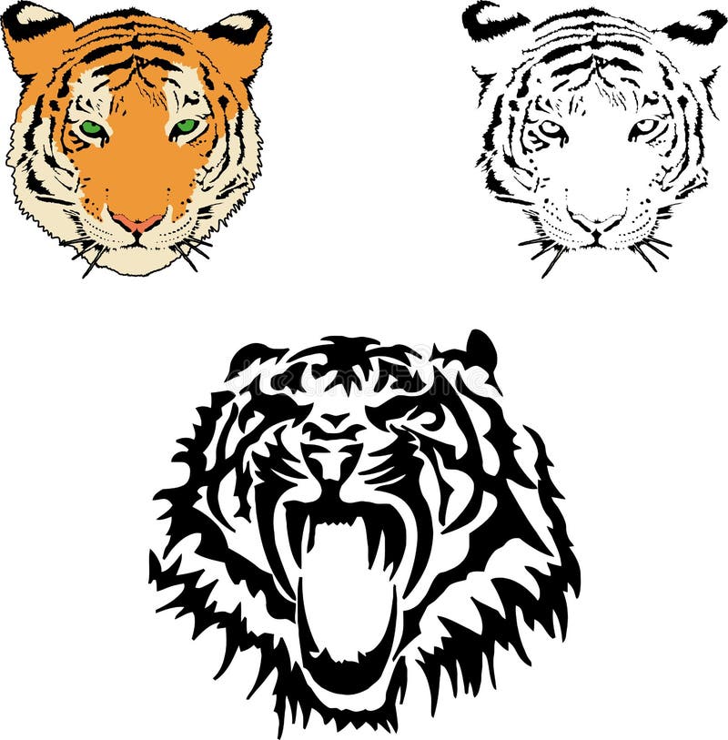 Download Vector Illustration Of A Tiger S Face Stock Vector ...