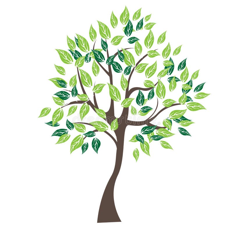 Vector Illustration of Tree on White Background - Stock Vector