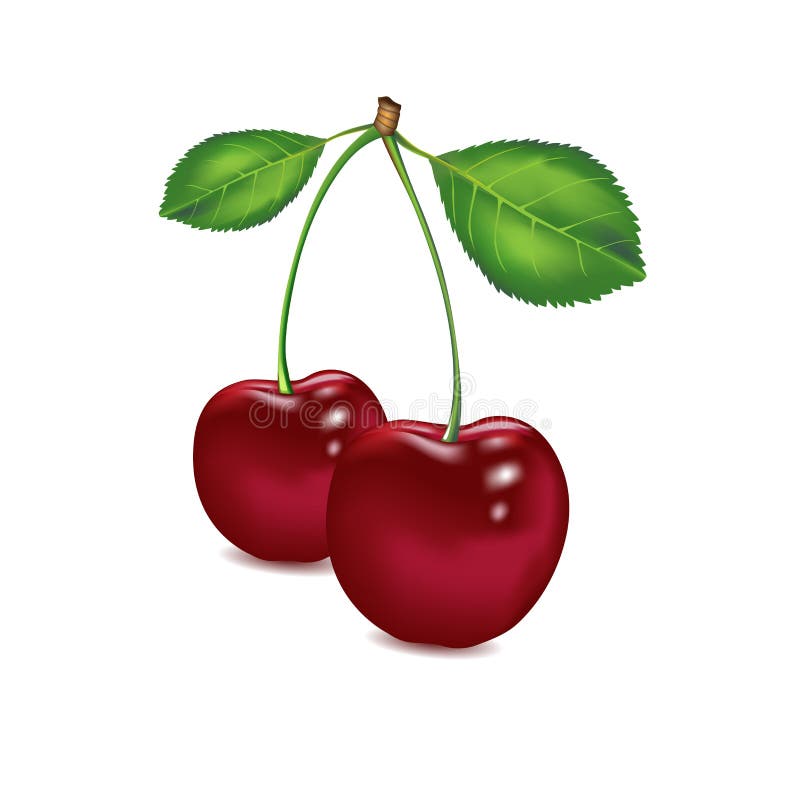 Cherries Water Drops Stock Illustrations – 91 Cherries Water Drops ...