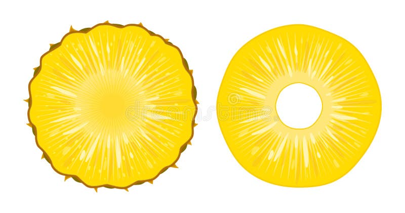 Vector Illustration von den reifen saftigen Ananasscheiben, die auf weißem Hintergrund lokalisiert werden Ein Schnittring der fri stock abbildung Vector Illustration von den reifen saftigen Ananasscheiben, die auf weißem Hintergrund lokalisiert werden Ein Schnittring der fri stock abbildung