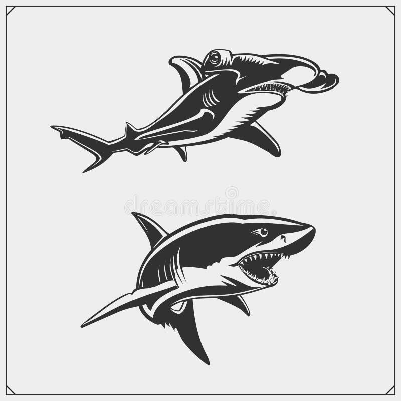 Hammerhead Stock Illustrations – 2,371 Hammerhead Stock Illustrations,  Vectors & Clipart - Dreamstime