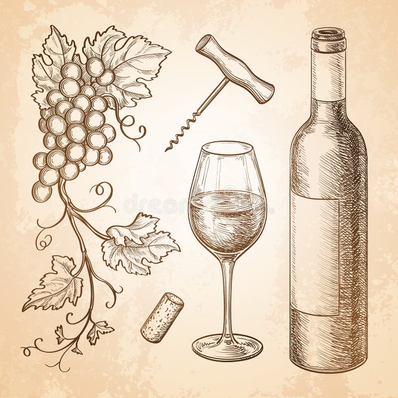 Vector illustration of wine