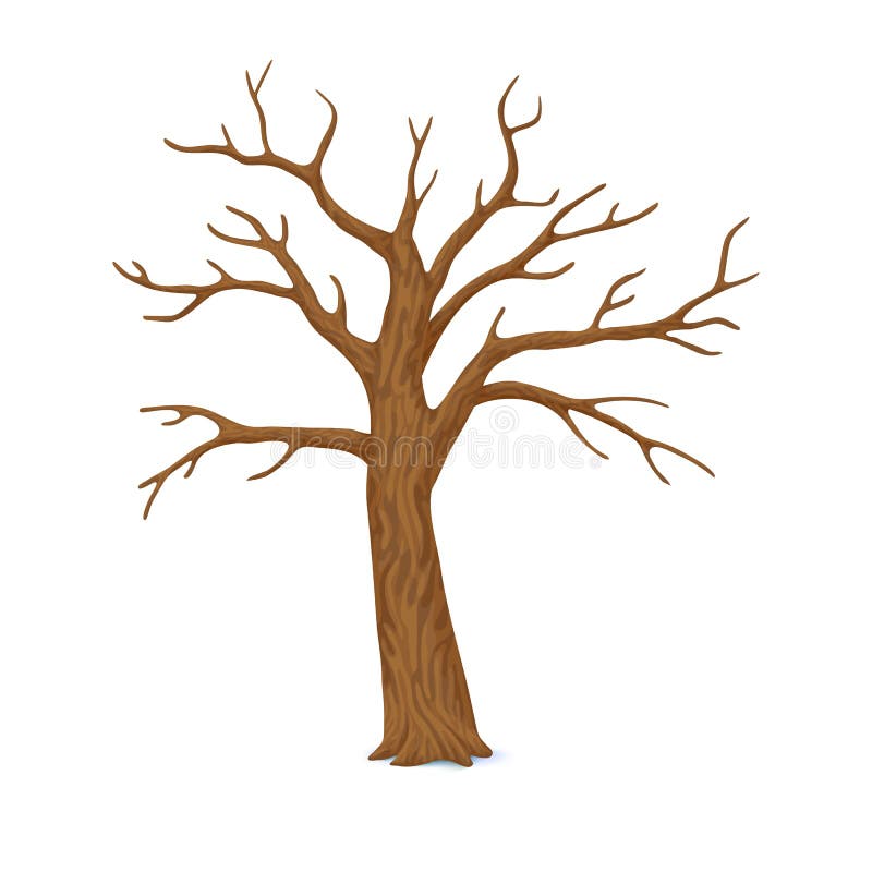 Leafless Tree Stock Illustrations – 2,262 Leafless Tree Stock  Illustrations, Vectors & Clipart - Dreamstime