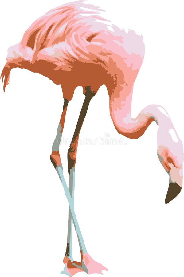 Vector a ilustração de um flamingo cor-de-rosa ilustração do vetor