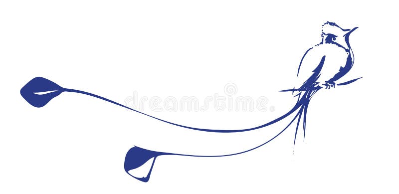Vector Image of Colibri. Hummingbird with a Beautiful Long Tail. Hand Drawn Bird. Stock Vector - Illustration of feather, mascot: 102926298 Vector Image of Colibri. Hummingbird with a Beautiful Long Tail. Hand Drawn Bird. Stock Vector - Illustration of feather, mascot: 102926298