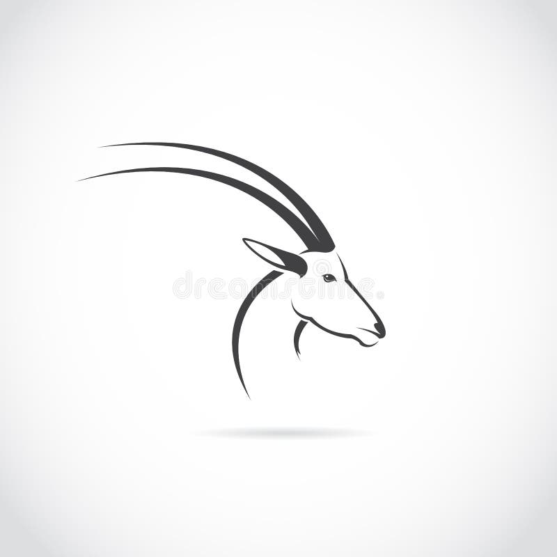 Vector image of an deer head (impala)