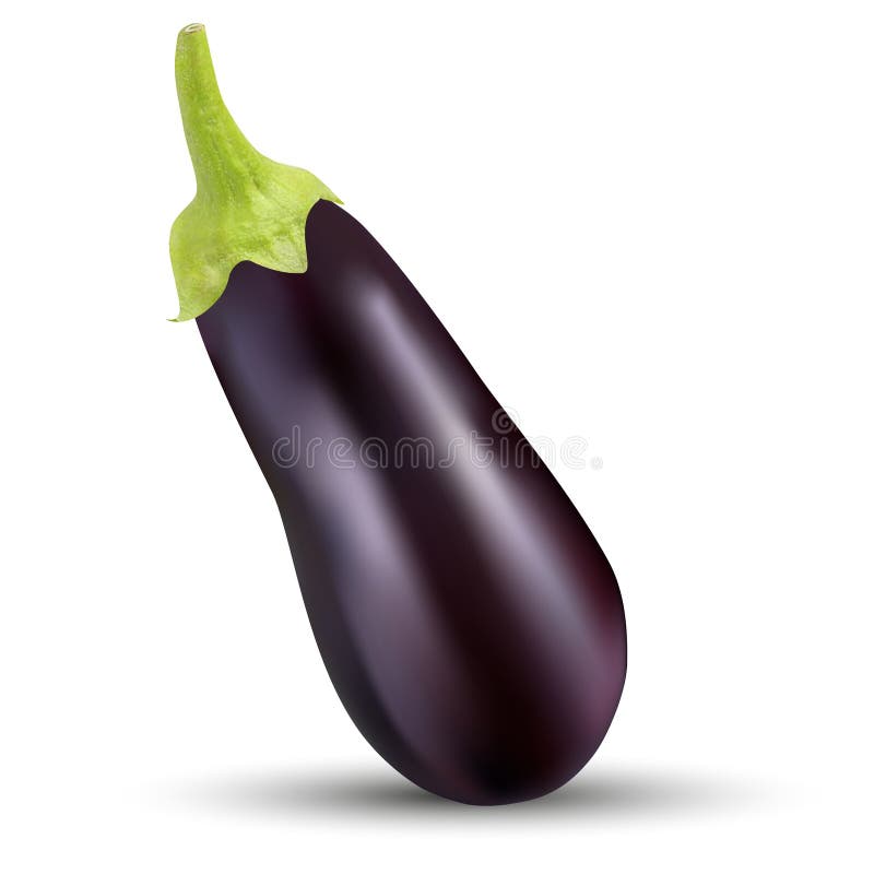 Vector Image of Eggplants on a White Background. Stock Vector