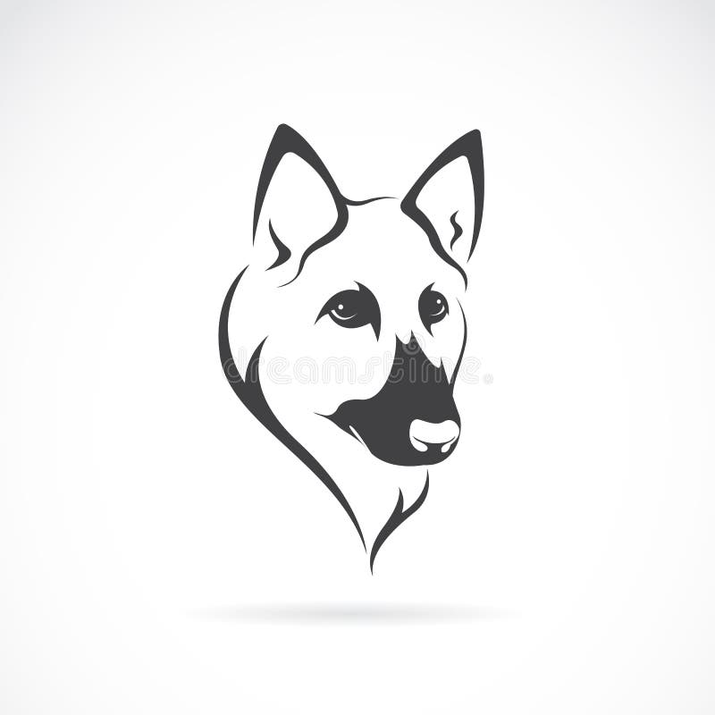 Vector image of an german shepherd face vector illustration