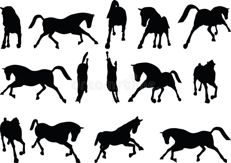 Horse Silhouette White Background Stock Illustrations – 26,303 Horse ...