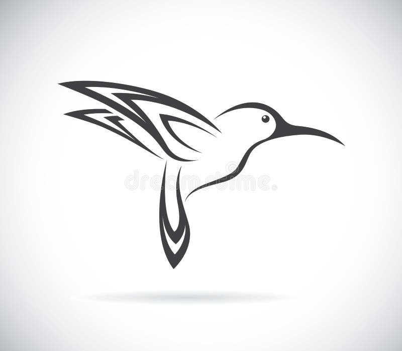 Hummingbird tattoo stock vector. Illustration of outline - 15774547