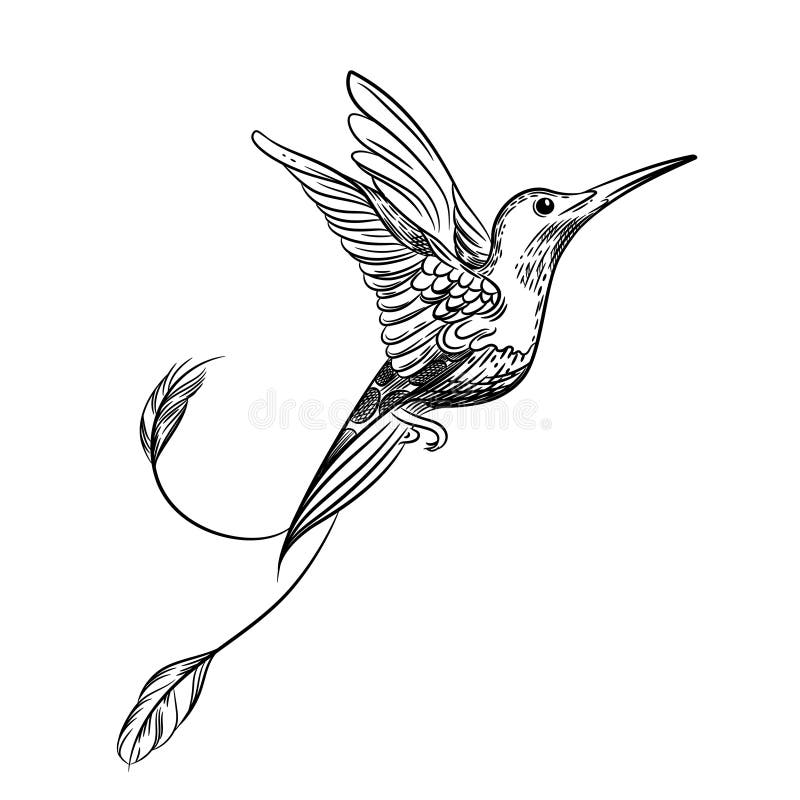 Hummingbird Tattoo Stock Illustrations 948 Hummingbird Tattoo Stock Illustrations Vectors Clipart Dreamstime