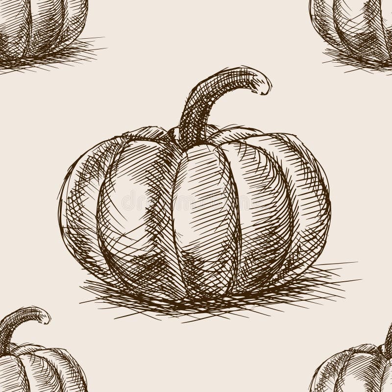 Vector inconsútil dibujado mano del modelo del bosquejo de la calabaza ilustración del vector Vector inconsútil dibujado mano del modelo del bosquejo de la calabaza ilustración del vector