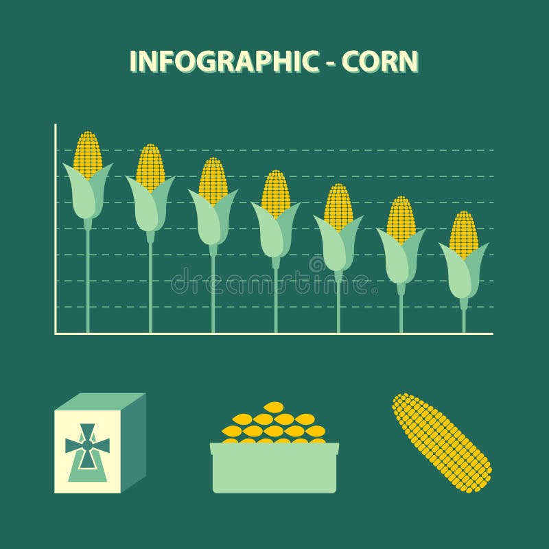 Vector infographic dalende productie van graan - informatiegrafiek in vlak ontwerp met pictogram van bloem, kom met korrels en ye vector illustratie Vector infographic dalende productie van graan - informatiegrafiek in vlak ontwerp met pictogram van bloem, kom met korrels en ye vector illustratie
