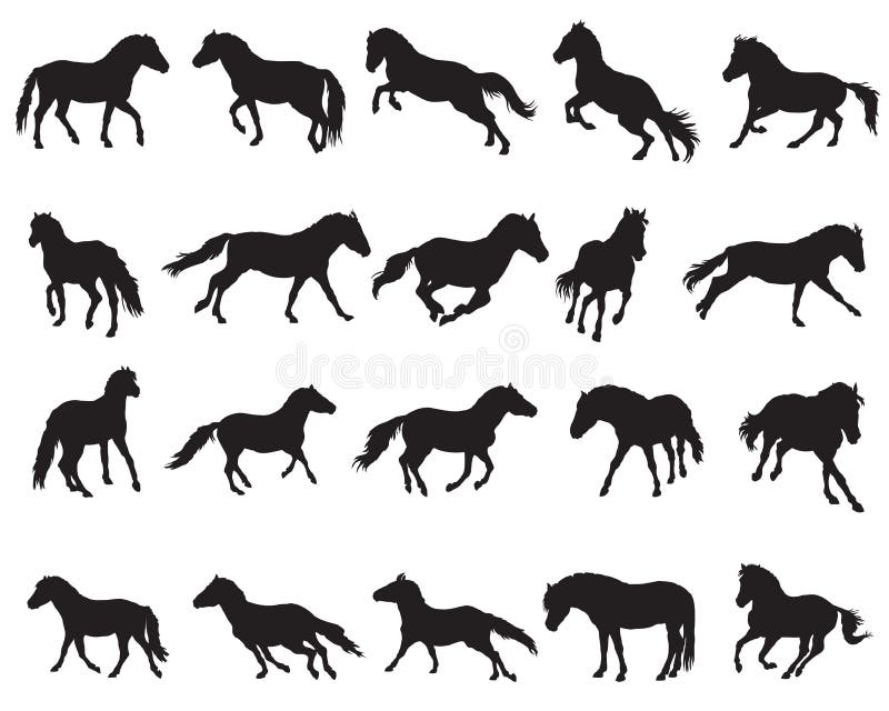 Foal Color Chart