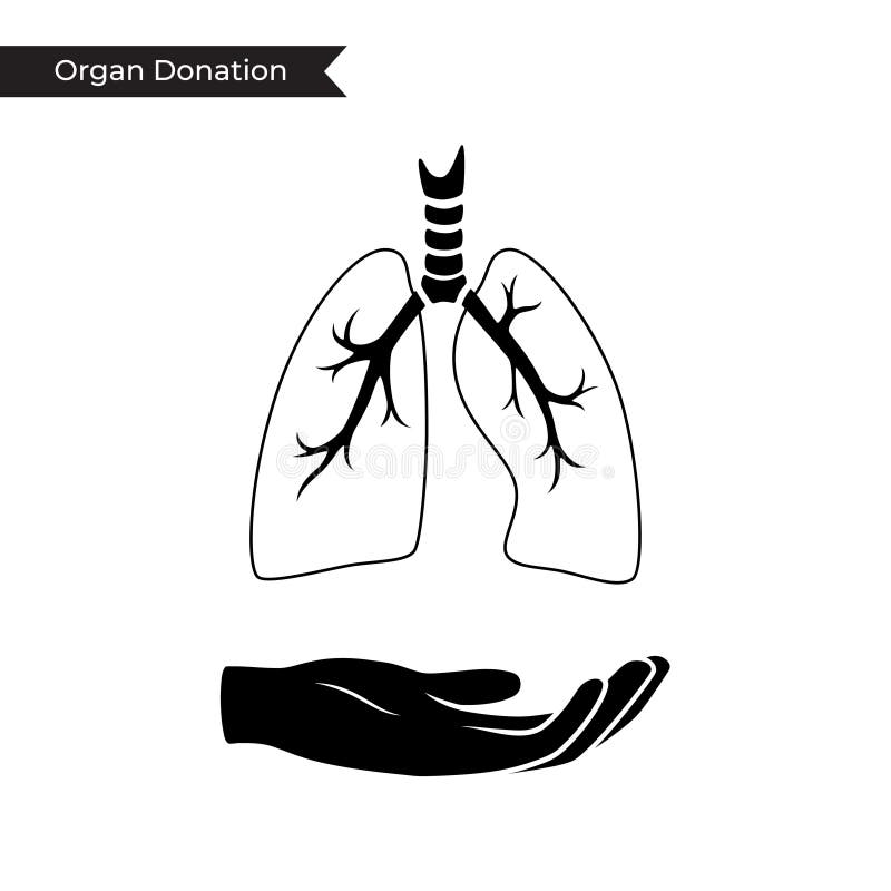 Vector Isolated Illustration Of Lung Stock Vector ...