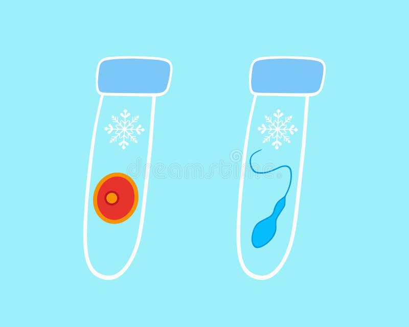 Vector isolated illustration of sperm and egg freezing. Egg donation. Egg and sperm in test tubes. In vitro fertilization. Artificial insemination.