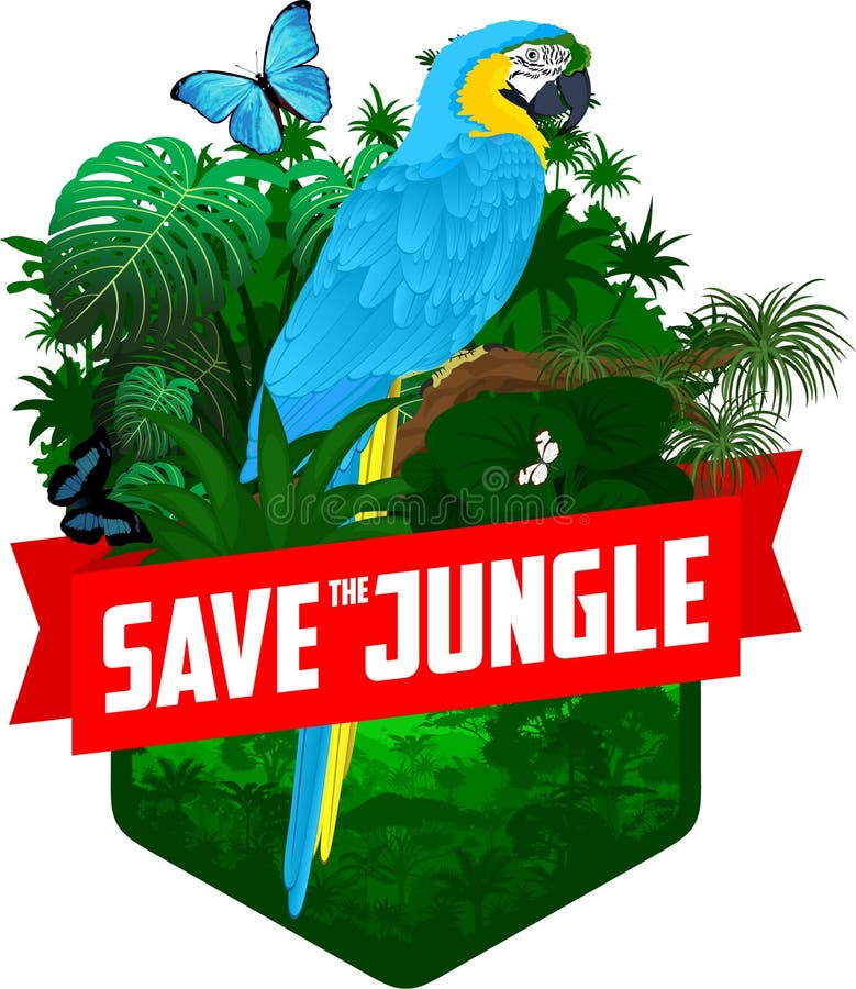 Amazon Rainforest Vector Stock Illustrations 1 430 Amazon Rainforest Vector Stock Illustrations Vectors Clipart Dreamstime Amazon Rainforest Vector Stock Illustrations 1 430 Amazon Rainforest Vector Stock Illustrations Vectors Clipart Dreamstime