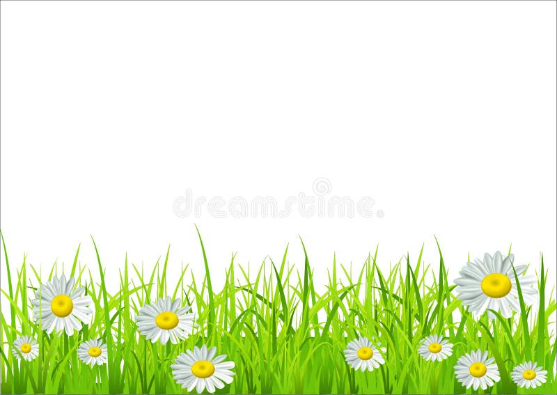 Vector l'erba verde e le margherite illustrazione di stock Vector l'erba verde e le margherite illustrazione di stock