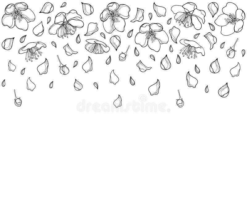 Vector la composizione orizzontale con il fiore, il petalo ed il germoglio di caduta di Apple del profilo nel nero isolati su fon illustrazione di stock