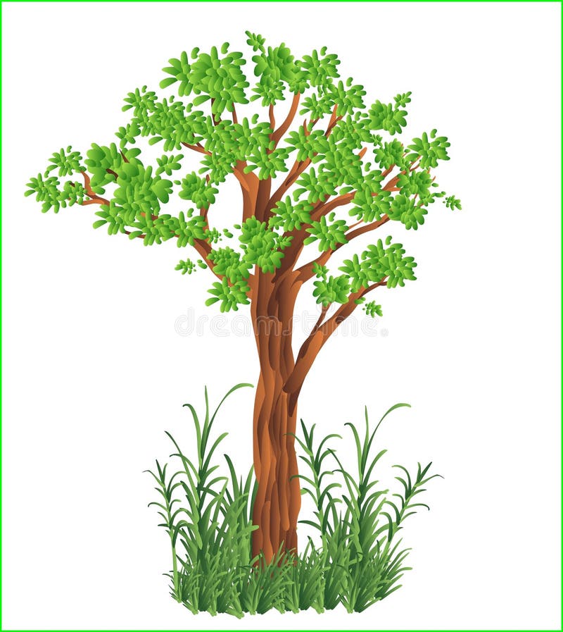 Vector la foresta fresca naturale della giungla del giardino dell'albero dei cespugli verdi dell'erba royalty illustrazione gratis