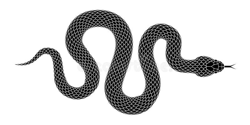 Vector la silueta de la serpiente aislada en un fondo blanco