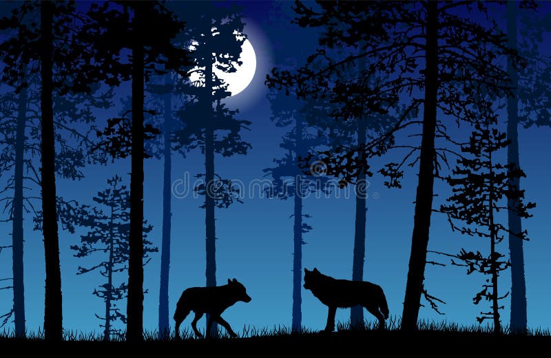 Vektor z dvě vlci v les v noci tmavý modrý velký řeřavý měsíc.