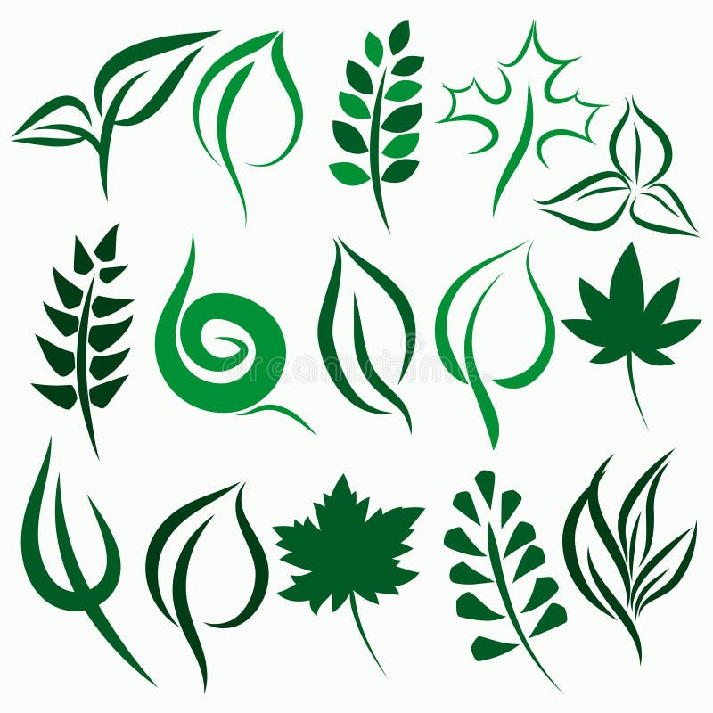 Vector leaf set