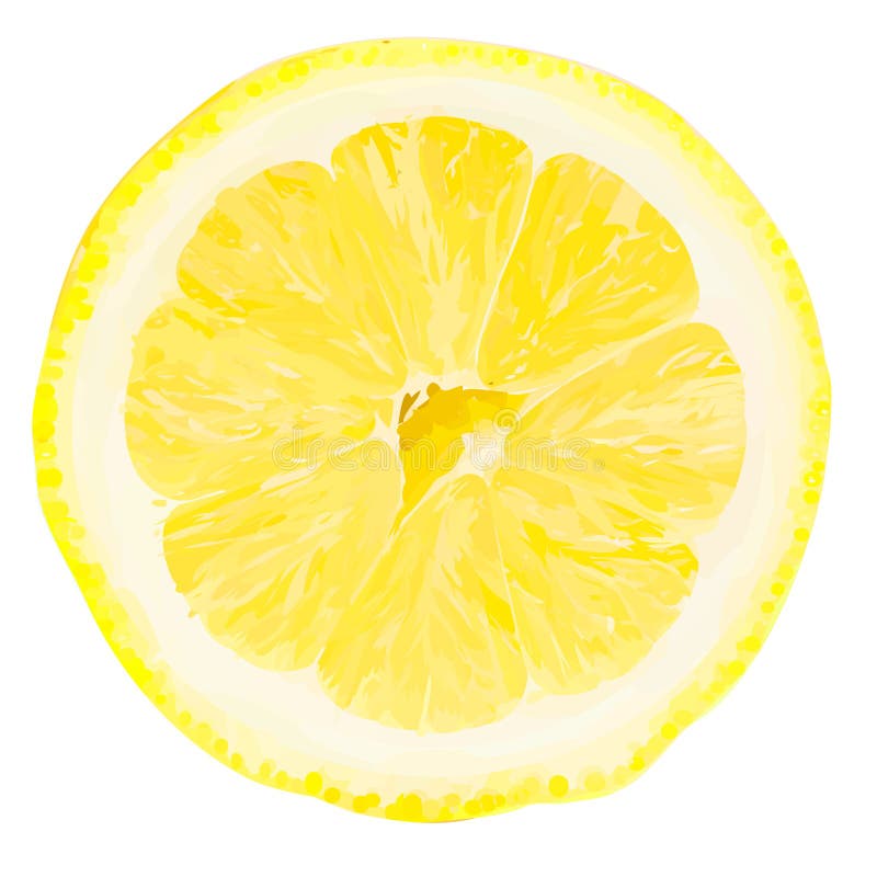 Vector lemon slice.