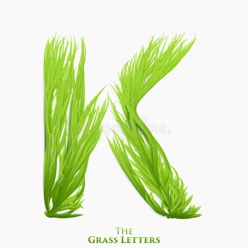 Vector letter K of juicy grass alphabet. Green K symbol consisting of growing grass. Realistic alphabet of organic stock illustration Vector letter K of juicy grass alphabet. Green K symbol consisting of growing grass. Realistic alphabet of organic stock illustration
