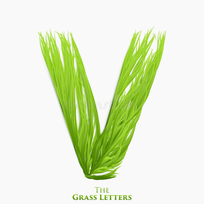 Vector letter V of juicy grass alphabet. Green V symbol consisting of growing grass. Realistic alphabet of organic vector illustration Vector letter V of juicy grass alphabet. Green V symbol consisting of growing grass. Realistic alphabet of organic vector illustration