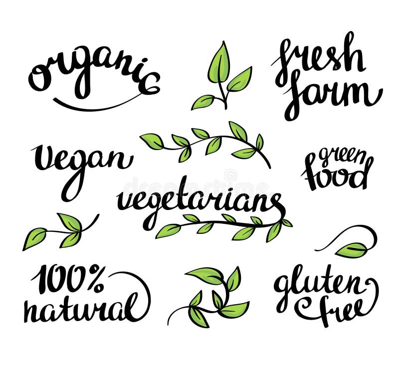 Vector lettering - organic natural food, vegan and vegetarians menu