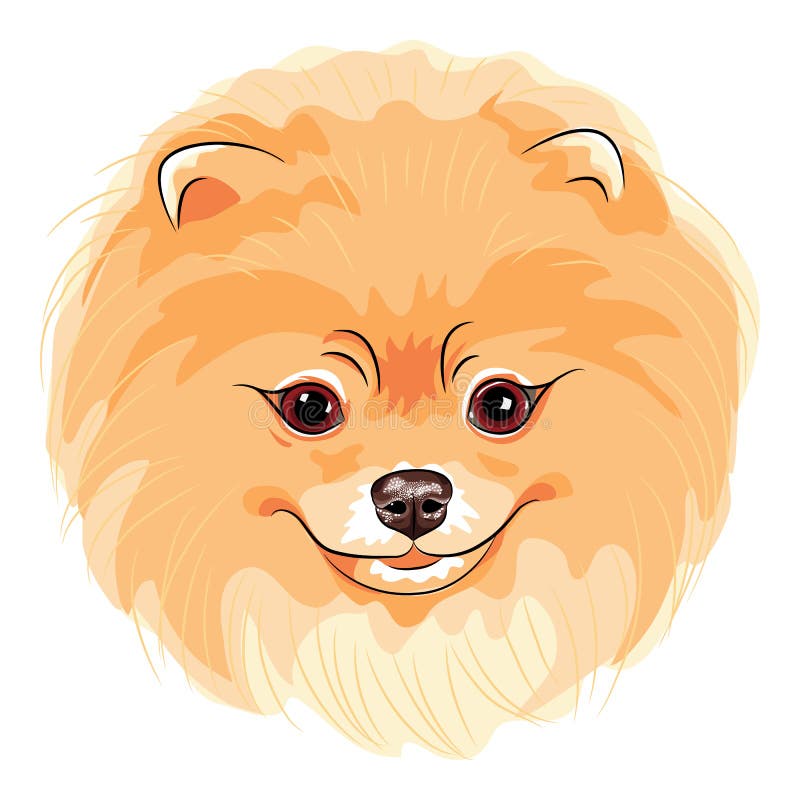 Vector leuke hond Pomeranian royalty-vrije illustratie Vector leuke hond Pomeranian royalty-vrije illustratie