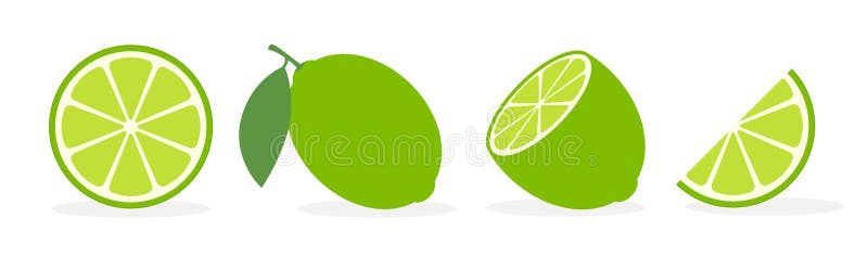 Vector lime plasterek zielony ilustracja cytryna wyizolowana z limonki półowocowej Ikona cytrusów na świeżo zielone