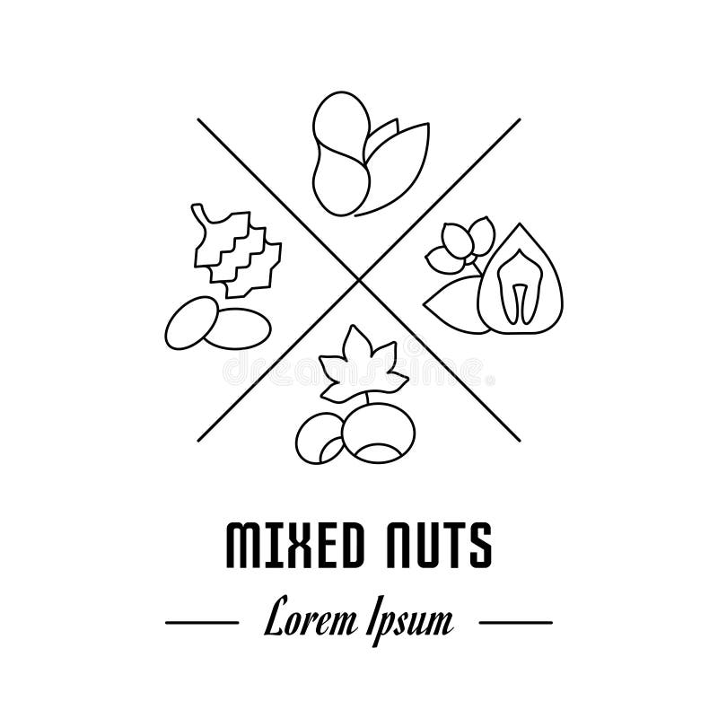 Mixed Nuts Vector Horizontal Seamless White Background. Cartoon Flat