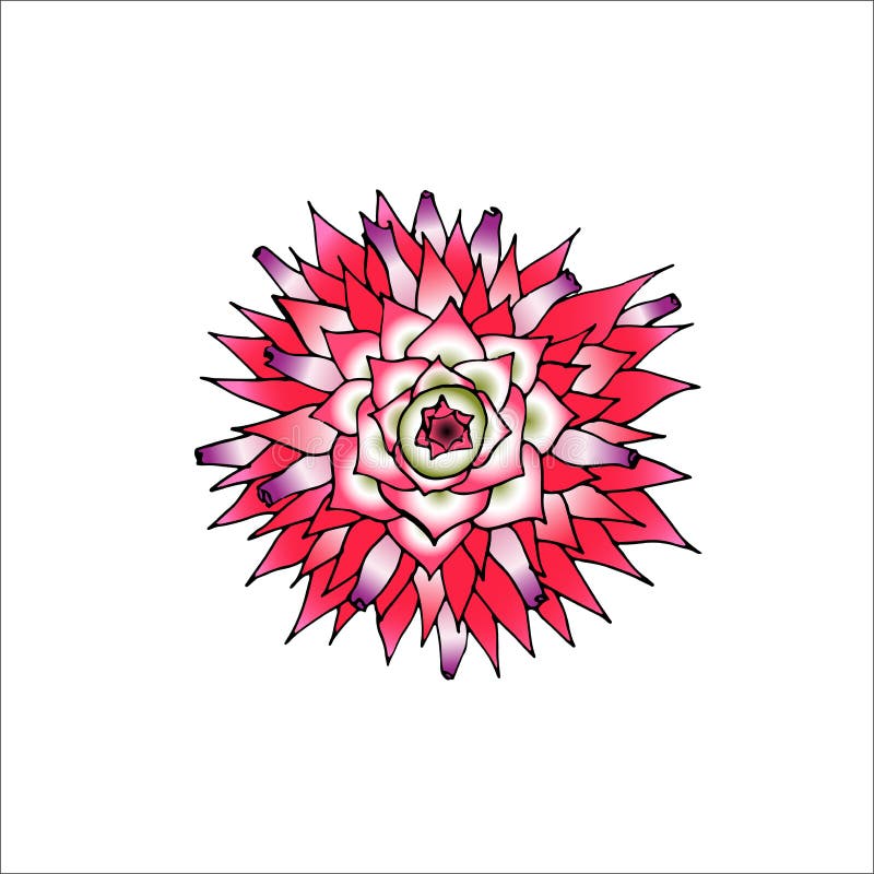 Download Vector Illustration Of Pineapple Flower On White ...