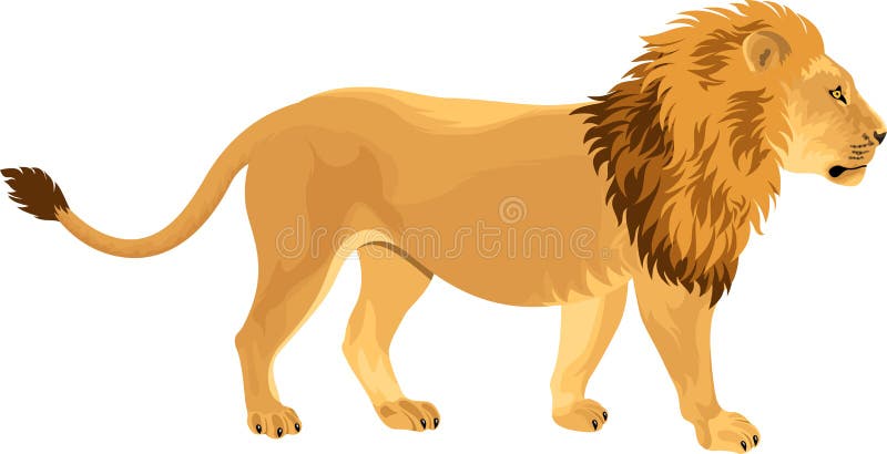 Panthera Lion Cartoon Vector Illustration Monochrome Stock Vector ...